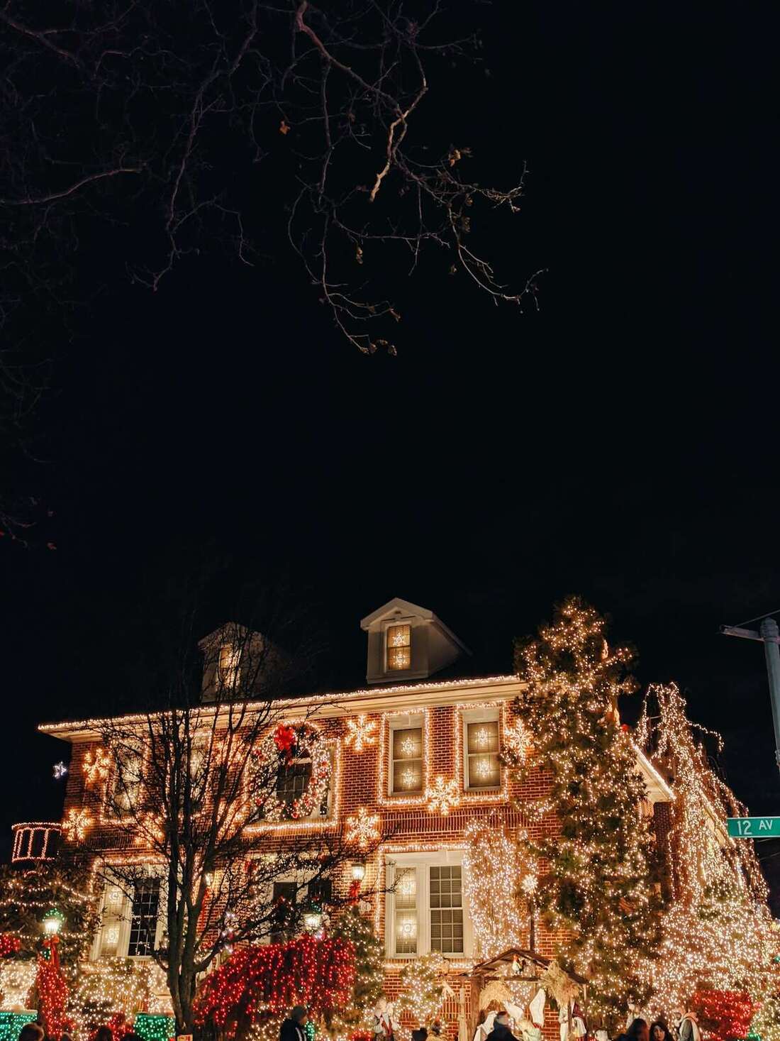 Christmas light installation service area in Charleston, SC