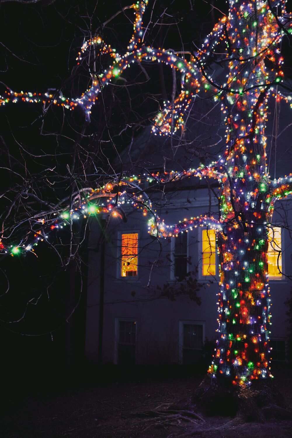 Tree wrapped in colorful Christmas lights with a home lit up in the background